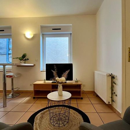 Le Studio Theolier Downtown - Close To Pedestrian Street Tournon-sur-Rhone Zewnętrze zdjęcie