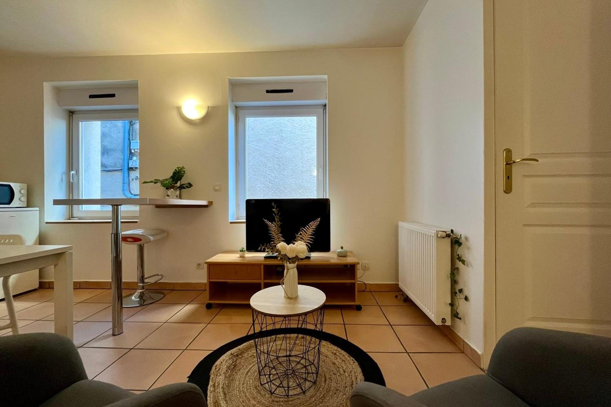 Le Studio Theolier Downtown - Close To Pedestrian Street Tournon-sur-Rhone Zewnętrze zdjęcie